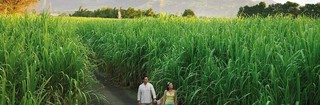 【毛航】毛里求斯四季Four Seasons5晚8日度假