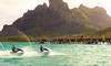 Four Seasons Resort BoraBora