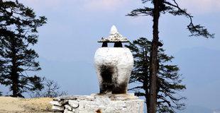 0016NPV2gy6RmNO4vYB09&690