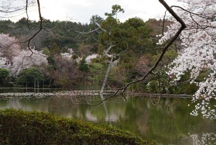 龙安寺Ryoanji