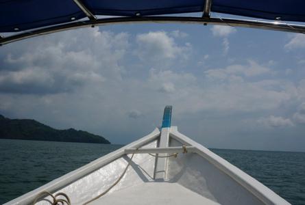 兰卡威红树林Langkawi Mangroves
