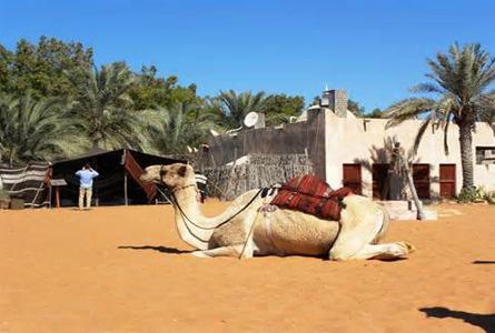 阿布扎比民俗村Abu Dhabi Heritage Village