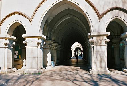东京大学The University of Tokyo