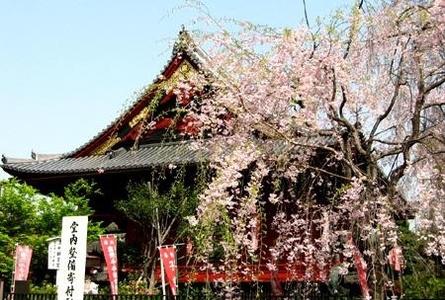 上野公园Ueno Park