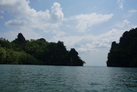 兰卡威红树林Langkawi Mangroves