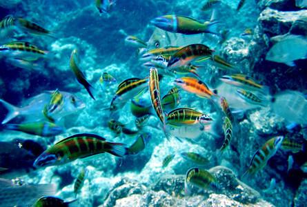 安通国家海洋公园Ang Thong Marine National Park
