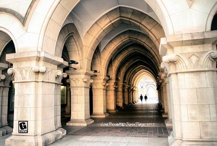 东京大学The University of Tokyo
