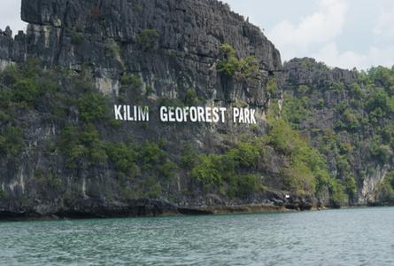 兰卡威红树林Langkawi Mangroves