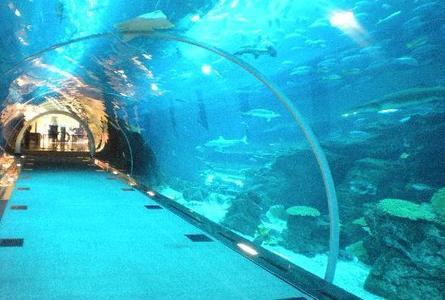 迪拜海底世界    &Dubai Aquarium & Underwater Zoo