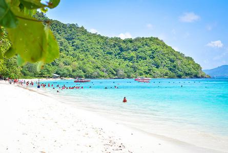 珊瑚岛Coral Island