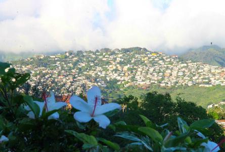 钻石头山Diamond Head State Monument