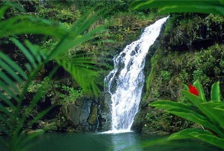 威美亚山谷Waimea Valley Adventure Park