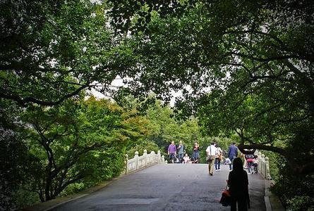 苏堤春晓