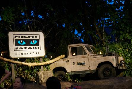 新加坡夜间野生动物园Night Safari