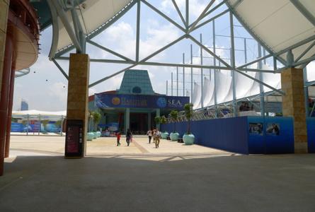 . . .海洋馆 . . .S.E.A. Aquarium