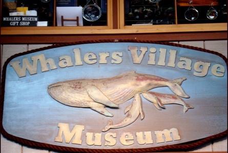 捕鲸村博物馆Whalers Village Museum