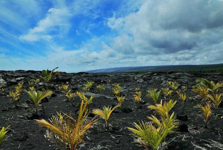 夏威夷火山国家公园Hawaii Volcanoes National Park