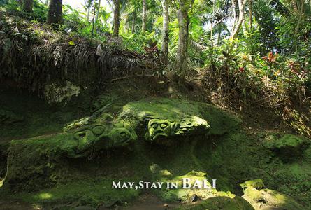 象窟Elephant Cave