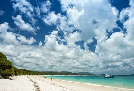 白天堂海滩Whitehaven Beach