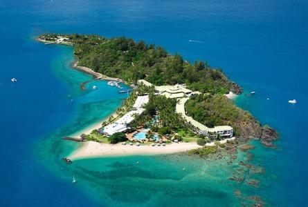 白日梦岛珊瑚礁Daydream Island Living Reef