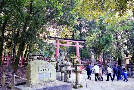 春日山原始林