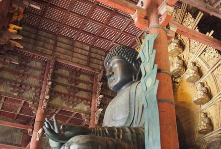 东大寺Todaiji Temple