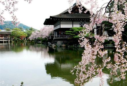 春日山原始林