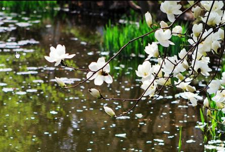 北海道厅旧本厅遗址HokkaidoTyou Kyuuhontyou Sya