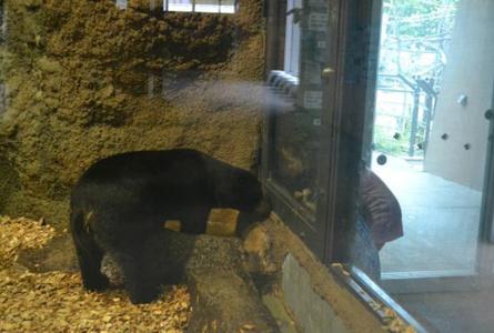 札幌市圆山动物园Maruyama Zoo