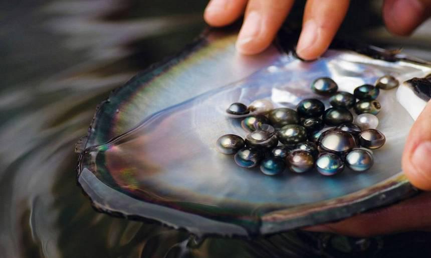 Four Seasons Resort BoraBora